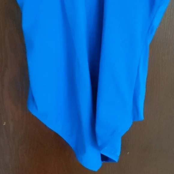 Roxanne Blue Cinch Waist Middle One Piece Swimsuit Size 10/ 34D - Picture 9 of 12